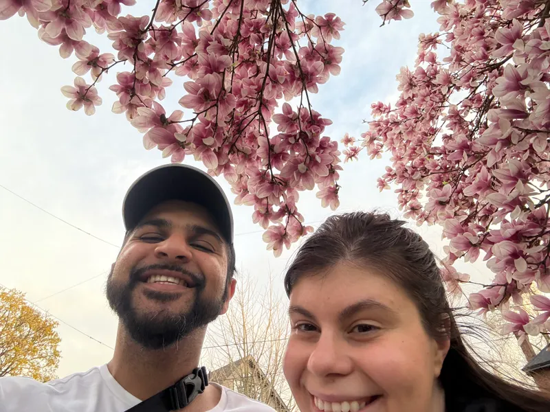 A picture from the gallery